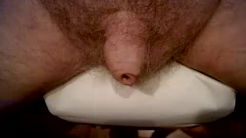 peterpeteropoulos online show from 31, 3, 2026