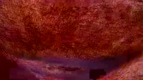 Snapshot of peterpeteropoulos chatting on 20, 7, 2026 peterpeteropoulos online show from 20, 7, 2026