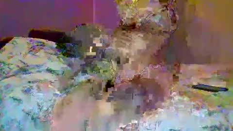 Snapshot of petite_baby23 chatting on 23, 5, 2026 petite_baby23 online show from 23, 5, 2026