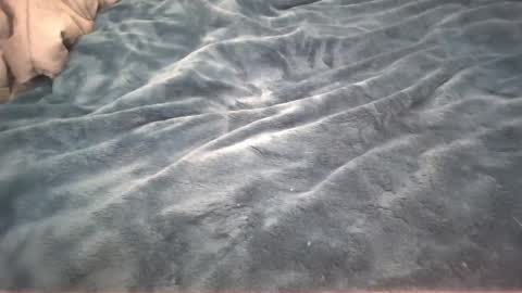 Snapshot of petite_cupcake chatting on 26, 2, 2025 Little cupcake online show from 26, 2, 2025