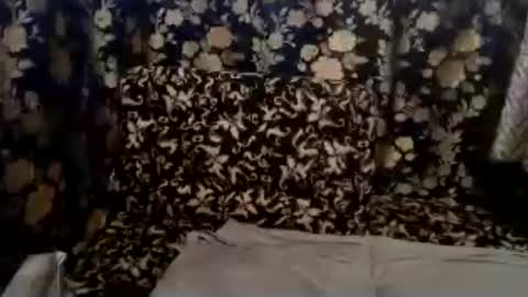 cute vir online show from 13, 7, 2026