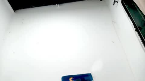 Snapshot of petiteivoryqueen chatting on 26, 11, 2025 danna online show from 26, 11, 2025