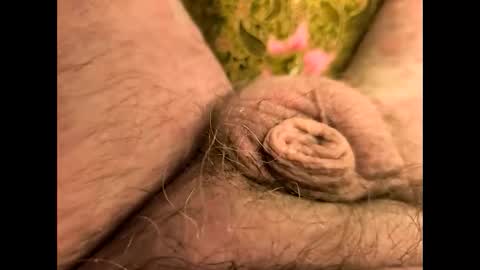 petrol63102 online show from 8, 4, 2026