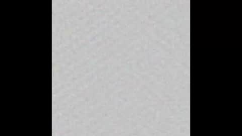 peytonn_monroe online show from 31, 10, 2025