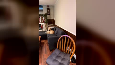 PhatAssBlond online show from 15, 12, 2025