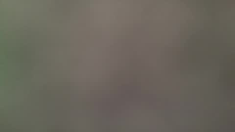 Its always better when its forbidden online show from 27, 4, 2026