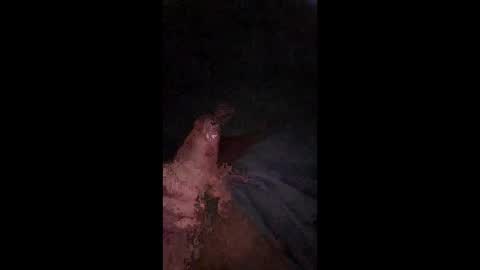 philllllll508346 online show from 21, 12, 2025