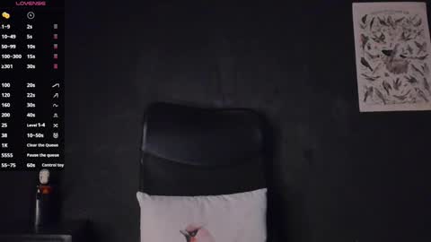 Snapshot of phoenixx_x chatting on 12, 3, 2025 phoenixx_x online show from 12, 3, 2025