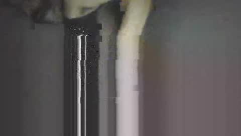 piggyes 74 online show from 21, 9, 2025