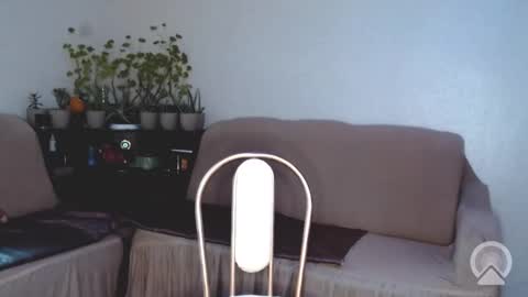 Pikachu pika online show from 20, 3, 2026