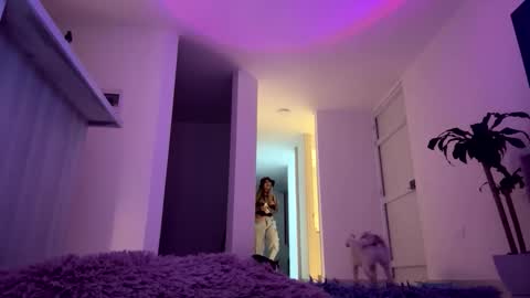 KELLY  online show from 7, 1, 2026