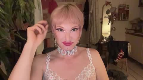 pinkfag online show from 27, 2, 2026