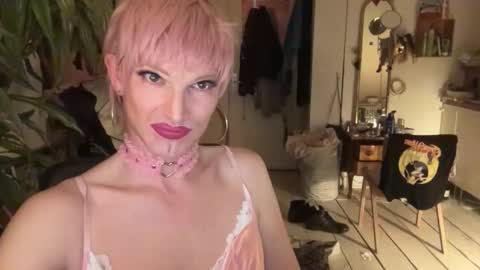 pinkfag online show from 4, 3, 2026