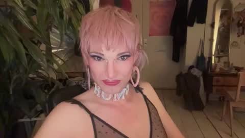 pinkfag online show from 9, 4, 2026
