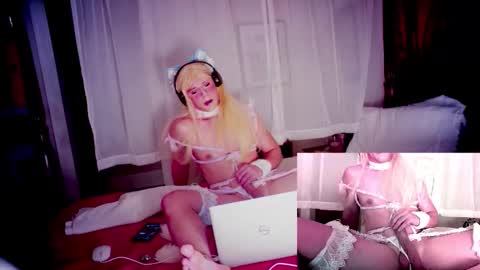 pinkpillbambi online show from 9, 1, 2026