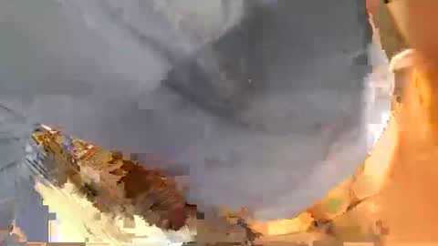 pippetta1 online show from 21, 11, 2025