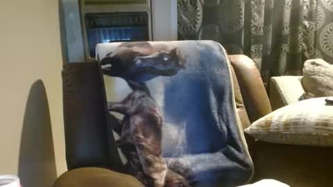 pirate334 online show from 18, 1, 2026