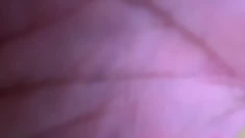 pistolpete9891 online show from 25, 1, 2025