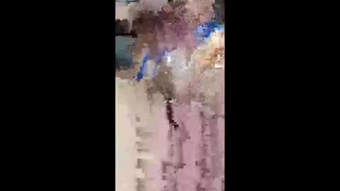 pitoloko73 online show from 13, 4, 2026