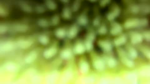 Mike online show from 4, 2, 2026