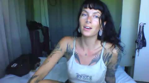 pixiecatfairy online show from 24, 3, 2026