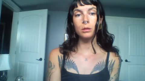 pixiecatfairy online show from 24, 6, 2026