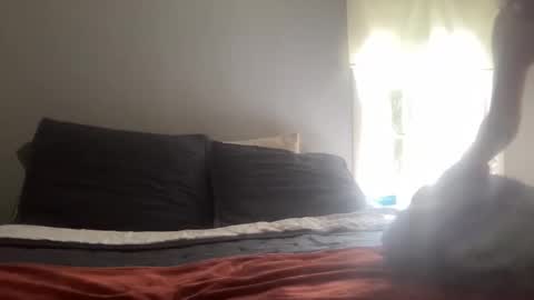 Snapshot of playfulpork chatting on 17, 4, 2026 playfulpork online show from 17, 4, 2026