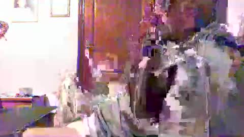 Snapshot of plu07f3520 chatting on 9, 4, 2026 plu07f3520 online show from 9, 4, 2026