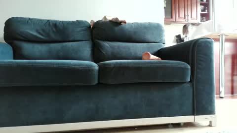 pokusss online show from 15, 1, 2026