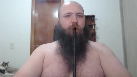 Bear online show from 17, 2, 2025