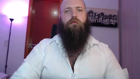 Bear online show from 4, 3, 2025