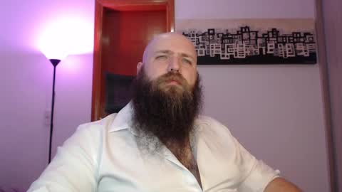 Bear online show from 11, 3, 2025