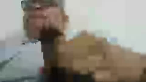 Snapshot of poli475 chatting on 18, 7, 2026 poli online show from 18, 7, 2026