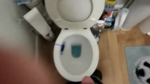 polishx42 online show from 2, 2, 2026