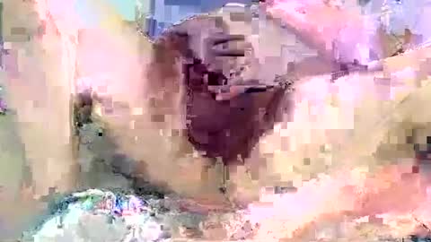 dikud0wn online show from 14, 9, 2025