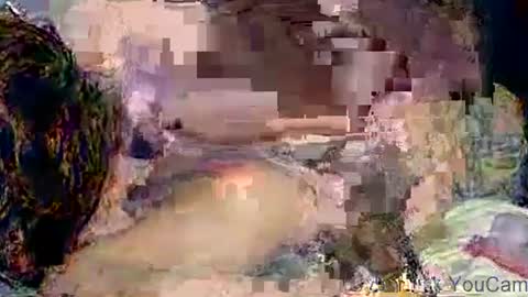 dikud0wn online show from 2, 11, 2025