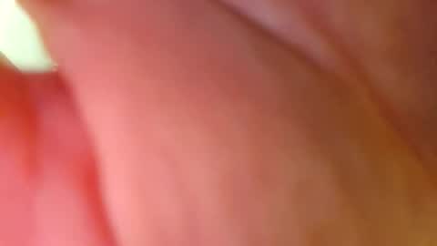 Big Dick online show from 26, 2, 2026