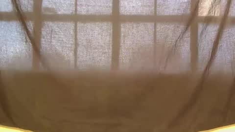Snapshot of prekky chatting on 23, 4, 2026 lynn online show from 23, 4, 2026