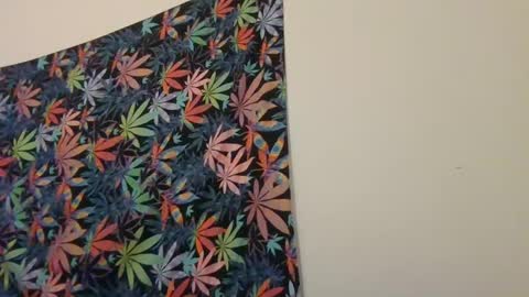 Snapshot of presidentialbryana chatting on 19, 1, 2025 Libra Lamont online show from 19, 1, 2025