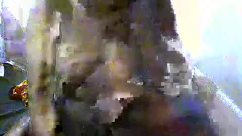 Snapshot of pretty_barbz chatting on 8, 3, 2025 pretty_barbz online show from 8, 3, 2025