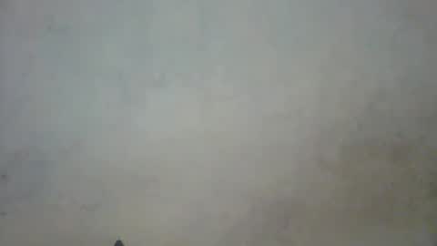 Snapshot of prettycarl_2 chatting on 1, 3, 2025 prettycarl_2 online show from 1, 3, 2025