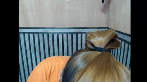 Kate online show from 7, 11, 2025