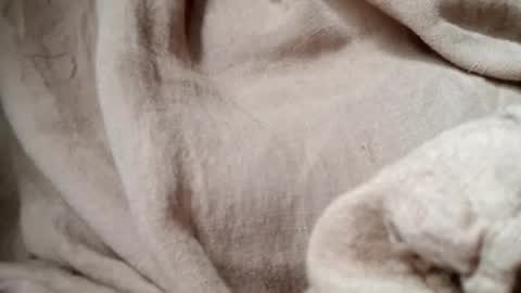 Snapshot of prettyrose01 chatting on 14, 7, 2026 prettyrose01 online show from 14, 7, 2026