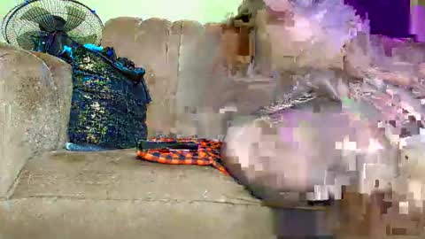 Snapshot of prettytashil200 chatting on 13, 5, 2026 prettytashil200 online show from 13, 5, 2026