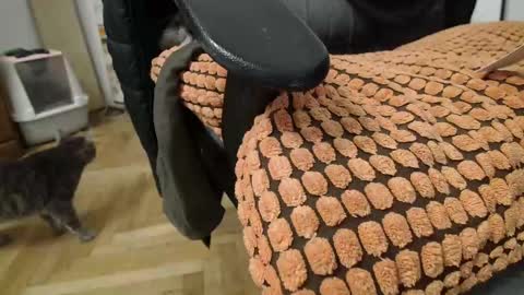 Prince Of Prague online show from 2, 3, 2025