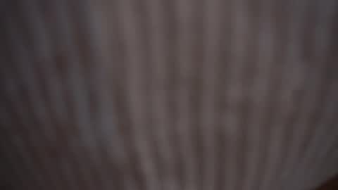 Assi  Incognito girl online show from 9, 2, 2025