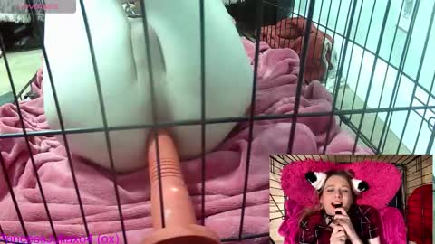 Snapshot of princessjuliaxo4 chatting on 16, 2, 2026 PrIncessJulia0X online show from 16, 2, 2026