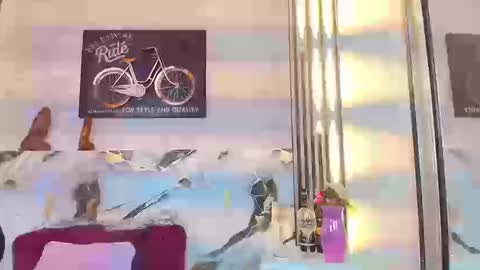 PRISHArMANA online show from 10, 3, 2026