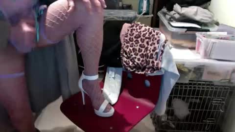 prrysport123 online show from 12, 2, 2026