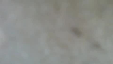 psachno online show from 10, 11, 2025